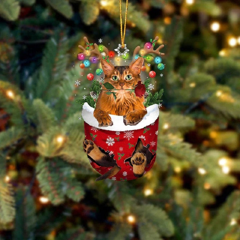 Somali Cat In Snow Pocket Christmas Ornament SP202 VIP
